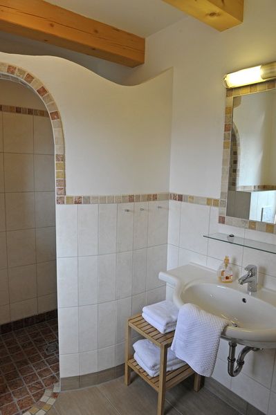 copyright_shooting-star (139)