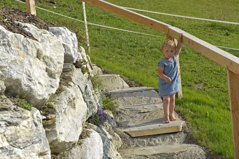 copyright_shooting-star (51)