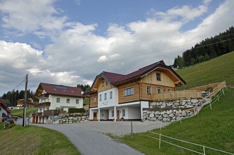 copyright_shooting-star (59)