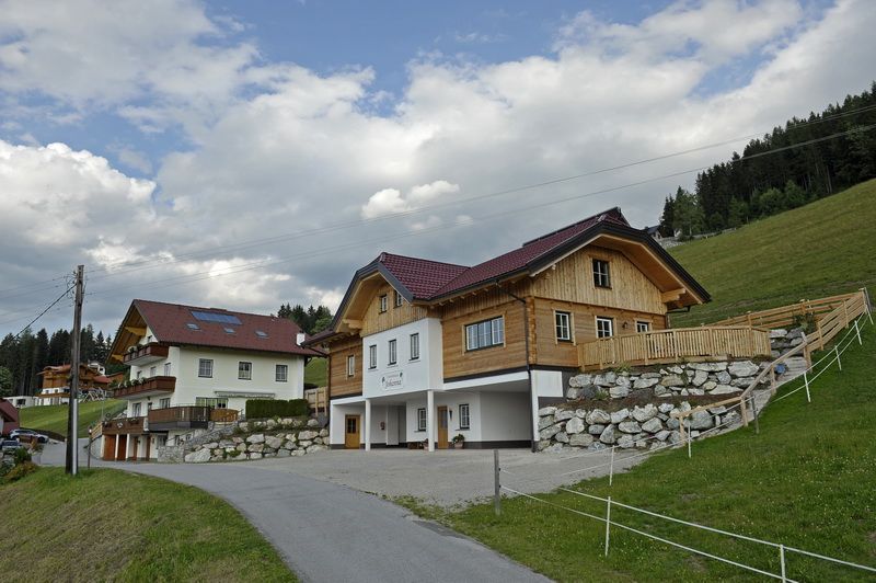 copyright_shooting-star (60)