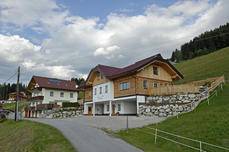 copyright_shooting-star (61)