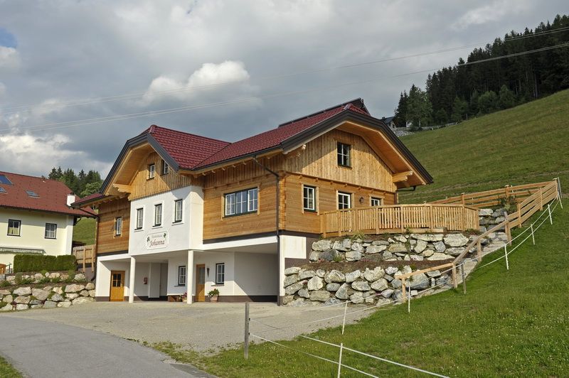 copyright_shooting-star (67)