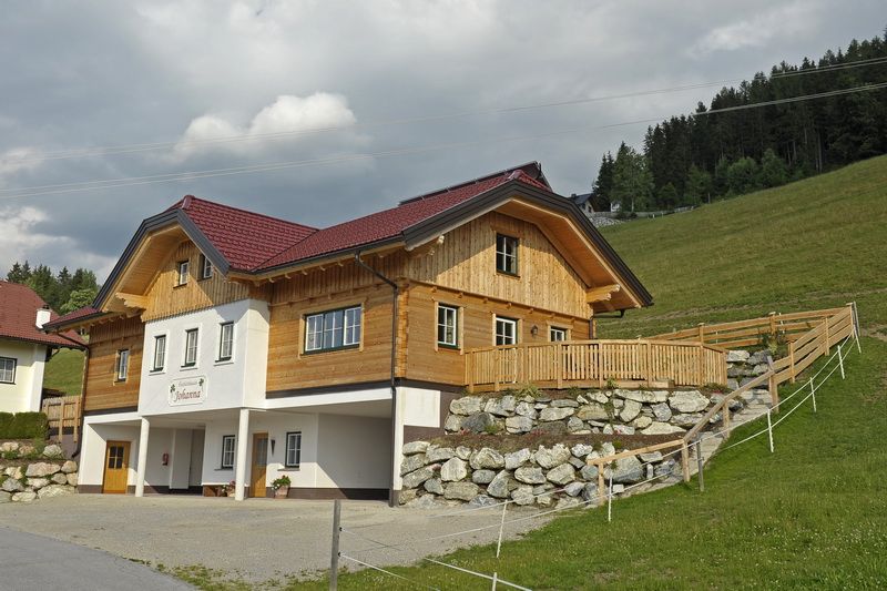 copyright_shooting-star (68)