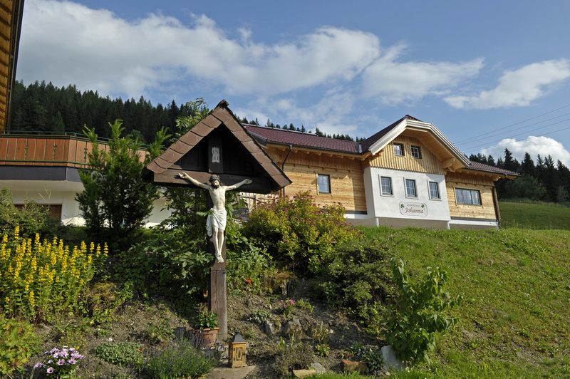 copyright_shooting-star (79)