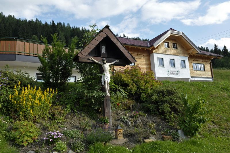 copyright_shooting-star (81)