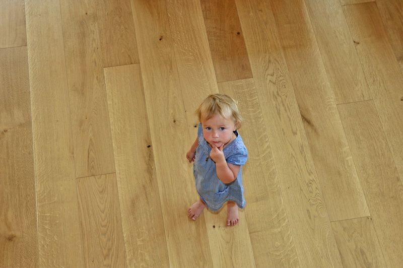 copyright_shooting-star (98)